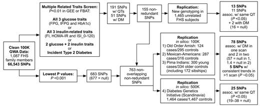 FIG. 1. Overview of SNP selection and replication strategies in a 100K GWA scan for diabetes and related traits in the FHS.