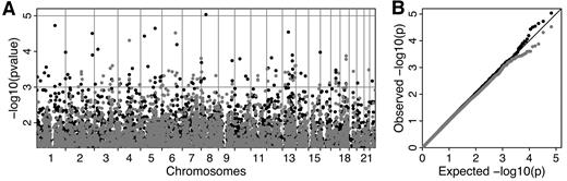 FIG. 2. Association of SNPs with exam 5 FPGs in the FHS. A: P values obtained with GEE (black) or FBAT (gray) across the autosomes, on a −log(10) scale. B: QQ plot of observed versus expected P values for both GEE (black) and FBAT (gray). There is an excess of significant P values at the end of the distribution for GEE, whereas FBAT yields more conservative results.