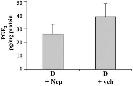 FIG. 5. Administration of Nepafenac by eyedrops to only one eye of rats with diabetes for 2 months inhibits PGE2 generation in that retina but not in that of the untreated fellow eye (n = 2). SD is not appropriate for only two animals but is included merely to demonstrate that values for the animals were similar. D + Nep, diabetic treated with Nepafenac; D + veh, diabetic treated with vehicle.