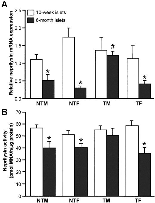 FIG. 3. Neprilysin mRNA (A) and activity (B) from isolated islets of 10-week-old and 6-month-old nontransgenic and hIAPP transgenic mice. Neprilysin mRNA and activity levels decreased with age in nontransgenic and female hIAPP transgenic mice. In contrast, in hIAPP transgenic male mice, neprilysin mRNA and activity levels did not decrease by 6 months, exhibiting levels comparable to 10-week-old mice. *P < 0.05 vs. 10-week-old, #P = 0.001 vs. 6-month-old transgenic female mice (n = 4/group, each n comprising islets from 2 mice). NTF, nontransgenic female; NTM, nontransgenic male; TF, transgenic female; TM, transgenic male.