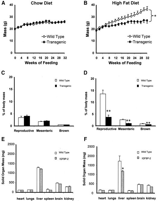 FIG. 3. Body mass and organ mass in response to high-fat feeding in wild-type and IGFBP-2 transgenic mice. A and B: Body mass was assessed in response to feeding standard chow or a high-fat diet for 32 weeks. C and D: Adipose tissue depot mass was measured postmortem after 32 weeks of feeding. E and F: Solid organ mass was measured postmortem after 32 weeks of feeding. *P < 0.05, **P < 0.01, n = 8–12 per group.