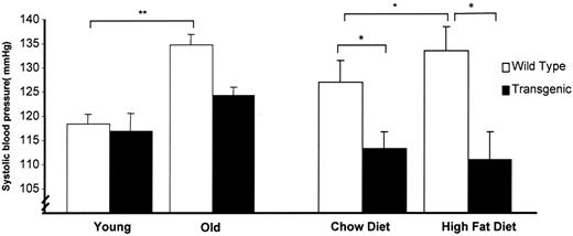 FIG. 7. Systolic blood pressure measured by tail-cuff plethysmography in conscious, restrained animals at 8 weeks of age (young), 40 weeks of age (old), and after feeding a chow diet or high-fat diet for 32 weeks. *P < 0.05, **P < 0.001, n = 8–12 per group.