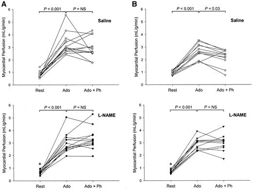 FIG. 2. Myocardial perfusion during PET studies. A: Control subjects. B: Diabetic patients. Top: Perfusion during saline. Bottom: Perfusion during NO synthase inhibition with l-NAME. Ado, adenosine; Ado + Ph, adenosine with phentolamine. *P < 0.01, l-NAME vs. saline in same scan sequence (l-NAME rest vs. saline rest).