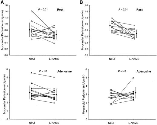 FIG. 3. Myocardial perfusion during saline and during NO synthase inhibition with l-NAME. A: Control subjects. B: Diabetic patients. Top: Perfusion during rest. Bottom: Perfusion during adenosine. Black circles with vertical bars indicate mean ± SD.