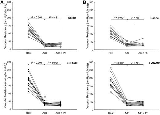 FIG. 4. MVR during PET studies. A: Control subjects. B: Diabetic patients. Top: Perfusion during saline. Bottom: Perfusion during NO synthase inhibition with l-NAME. Ado, adenosine; Ado + Ph, adenosine with phentolamine. *P < 0.001, l-NAME vs. saline in same scan sequence (l-NAME adenosine vs. saline adenosine).