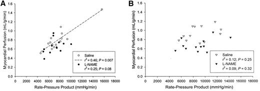 FIG. 5. RPP at rest plotted against myocardial perfusion at rest. A: Control subjects. B: Diabetic patients. White circles, control subjects, saline; black circles, control subjects, l-NAME; white triangles, diabetic patients, saline; black triangles, diabetic patients, l-NAME.
