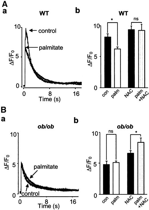 FIG. 3. Palmitate decreased the SR Ca2+ content in wild-type cardiomyocytes. Representative spatially averaged Ca2+ transients induced by application of caffeine (10 mmol/l) in a wild-type (WT) (Aa) and an ob/ob (Ba) cardiomyocyte in the absence and presence of palmitate (1.2 mmol/l) as indicated. Mean data (±SE; n = 8–12 cells) from wild-type (Ab) and ob/ob (Bb) cells. NAC (20 mmol/l) and palmitate exposure is indicated below the bars. *Statistical difference between the absence and presence of palmitate (P < 0.05).