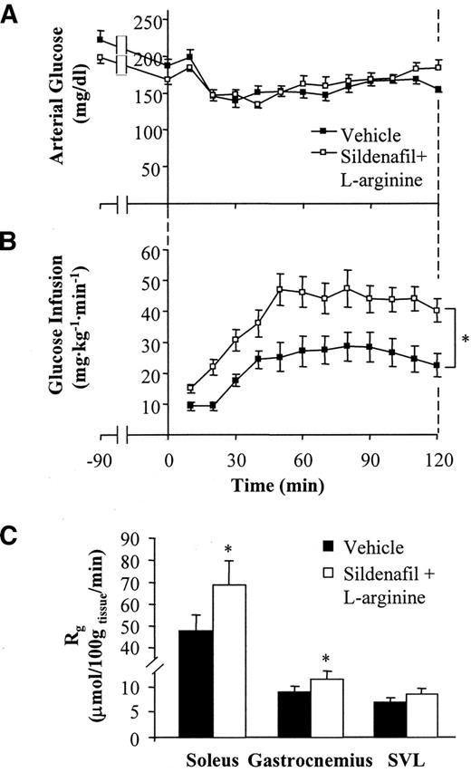 FIG. 2. Protocol 1: hyperinsulinemic-euglycemic clamps on 5-h–fasted, conscious, unrestrained C57BL/6J mice. A and B: Arterial glucose levels (A) and glucose infusion rates (B) during hyperinsulinemic-euglycemic clamps in mice chronically treated with either vehicle or sildenafil plus l-arginine. C: Tissue metabolic index (Rg) in soleus, gastrocnemius, and superficial vastus lateralis (SVL). Data are the means ± SE for 7–8 mice per group. *P < 0.05 vs. vehicle.
