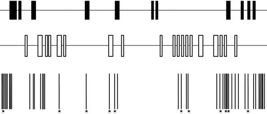 FIG. 2. Identification of variants within PVT1. The genomic organization of PVT1 is shown in the upper figure; black rectangles represent exons and the thin horizontal lines designate noncoding sequence. Gene structure shown reflects the major eleven exons found in the largest and most common PVT1 transcript. However, alternative splicing events in PVT1 produce at least 27 isoforms, which differ by variable truncations of the 5′ and 3′ ends, inclusion of 1 or more of the 19 cassette exons available for splicing, shown in the middle, and differential splicing of common exons that yield different boundaries. Variants identified by direct sequencing are shown as thin vertical lines at the bottom of the figure. *Polymorphisms that were genotyped in the study sample.