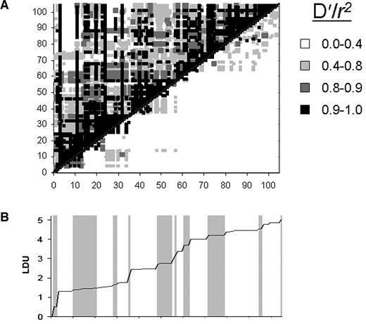 FIG. 3. LD relationships among PVT1 markers. A: Measures of LD between pairs of each of the 101 individually genotyped SNPs. D′ is shown above the diagonal, and r2 is shown below the diagonal. B: The bottom panel shows the position of each of the markers on an LD map. Regions where the line is nearly horizontal indicate a low degree of historical recombination among markers, while areas where the slope changes rapidly indicate a region of historical recombination. The shaded areas represent clusters of SNPs among which there was a small difference in LDUs. Clusters were defined by the k-means algorithm (assuming a radius of 0.10 LDU).