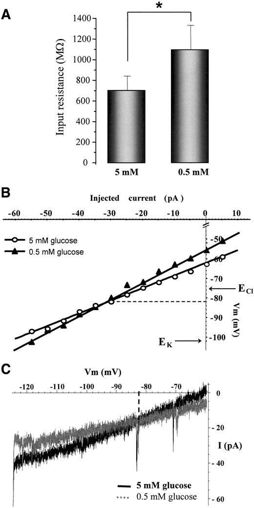 FIG. 3. A: The input resistance of glucose-inhibited neurons was greater in 0.5 vs. 5 mmol/l glucose. *P < 0.0005. B: Voltage-current curve extrapolated from membrane potential changes recorded in response to increasing hyperpolarizing current injection, in 5 mmol/l (○) and 0.5 mmol/l (▴) glucose. The reversal potential was approximately −82 mV for this glucose-inhibited neuron (dotted line). The theoretical equilibrium potentials for Cl− and K+ are indicated on the y-axis. C: Representative current-voltage relationship obtained by applying slow voltage ramps, in 5 mmol/l (black line) and 0.5 mmol/l (gray line) glucose. The reversal potential was approximately −84 mV for this glucose-inhibited neuron (dotted line).