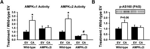 FIG. 4. caCaMKKα (CA) expression increases AMPKα1 and -α2 activities only in wild-type mice. A: caCaMKKα expression increased AMPKα1 (left) and AMPKα2 activities (right) 2.5-fold in wild-type, but not in AMPKα2 inactive (AMPKα2i) mice. B: AS160 (PAS) phosphorylation was increased (P = 0.06) by expression of caCaMKKα only in wild-type mice. All data are the means ± SE, n = 4–6 muscles per group. *Statistically significant versus empty vector (EV); #statistically significant versus wild-type. p-AS160, phosphorylated AS160.