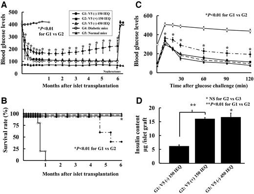 FIG. 4. Blood glucose levels, survival rate, and glucose challenge tests after islet transplantation and insulin content of islet grafts. A: Transplantation of V5-treated 150 islet equivalents (group 2) perfectly controlled the blood glucose levels of diabetic mice for 6 months; levels were comparable with those observed in group 3. B: All mice in group 2 survived for 6 months. C: Intraperitoneal glucose tolerance test performed at 24 weeks. The mice with group 2 showed a normal profile of blood glucose levels after glucose challenge. D: Insulin content of islet grafts. Significantly higher insulin content was observed in the group 2 graft (16.1 ± 0.4 mg/graft), which was comparable with that of the group 3 graft (16.7 ± 1.4), in comparison with the group 1 graft (6.2 ± 0.2). IEQ, islet equivalent.