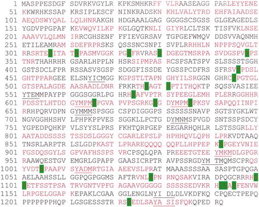 FIG. 1. Representative coverage map of peptides detected in tryptic digests of human muscle IRS-1 using HPLC nanospray LTQ FTICR analysis. Detected peptides are shown in red, and phosphorylation sites are shown in green. Underlined sequences are known src homology 2 recognition motifs (YXXM/l/I).