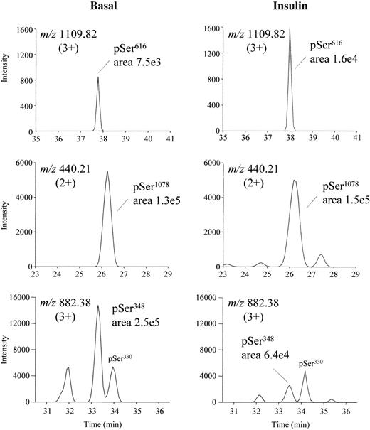 FIG. 2. Reconstructed ion current chromatograms corresponding to three phosphopeptides detected in tryptic digests of IRS-1 isolated from human muscle biopsies of a representative healthy control subject taken 1 h before (Basal) and at the end of 2 h of insulin infusion (Insulin) during a euglycemic-hyperinsulinemic clamp. Upper panel: GGHHRPDSSTLHTDDGYMoxPMoxpSPGVAPVPSGR [m/z 1109.82 (3+); IRS-1596–626; the abundance of this phosphopeptide increased after 2-h of insulin infusion compared with basal; mean fold change ± SEM of four independent experiments, 2.9 ± 0.8 (P < 0.05)]. Middle panel: VNLpSPNR [m/z 440.21 (2+); IRS-11075–1081; no change after 2-h insulin infusion]. Lower panel: ASSDGEGTMoxSRPASVDGSPVpSPSTNR [m/z 882.38 (3+); IRS-1328–353; the abundance of this phosphopeptide decreased after 2-h insulin infusion; mean fold change ± SEM of four independent experiments, 0.4 ± 0.1 (P < 0.05)].
