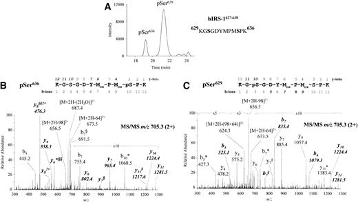 FIG. 3. Identification of sites of phosphorylation in an hIRS-1 peptide that were detected in two distinct monophosphorylated forms in tryptic digests of IRS-1 isolated from a human muscle biopsy. A: Reconstructed ion current chromatogram for m/z 705.3 illustrating chromatographic separation of IRS-1627–638 KGSGDYMoxPMoxpSPK (pSer636) and KGpSGDYMoxPMoxSPK (pSer629). B: Tandem mass spectrum of pSer636 peptide. C: Tandem mass spectrum of pSer629 peptide. In B, the presence of y-series ions containing phosphate starting with y4 support phosphorylation of Ser636. The shift of b5 from m/z 445.2 (B) to m/z 525.1 (C), corresponding phospho-containing b7 and b9 ions, and the absence of modification for y-series ions until y10 indicates phosphorylation at Ser629. Ion annotations shown in italics indicate fragments that contain phosphate. *Loss of H3PO4 (98 units) from the indicated fragment. §Loss of SOCH4 (64 units). Mox, oxidized methionine.