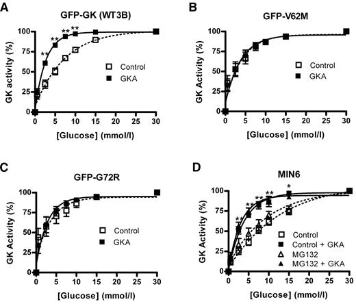 FIG. 5. GK kinetics and activation by a GKA in GFP GK, GFP V62M, and GFP G72R clonal cell lines. Clonal cell lines GFP GK clone WT3B (A), GFP V62M (B), and GFP G72R (C) were incubated with 10 μmol/l MG132 for 18 h. Untreated MIN6 cells (D) were incubated without (squares) or with (triangles) 10 μmol/l MG132 for 18 h. GK activity was determined at varying glucose concentration (0.5–30 mmol/l) on 13,000g supernatants in the absence (open) or presence (solid) of 5 μmol/l GKA and is expressed as percentage 30 mmol/l glucose. Means ± SE, n = 6 (A–C) or n = 5 (D). *P < 0.05 and **P < 0.01, effect of GKA.