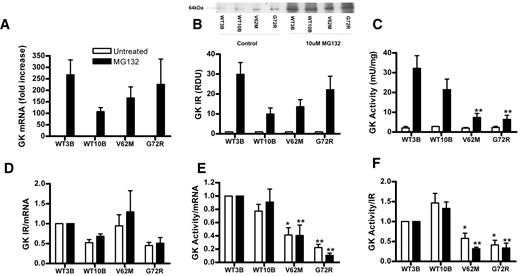 FIG. 6. GK-mRNA, immunoreactivity, and activity in clonal cell lines GFP GK, GFP V62M, and GFP G72R. Clonal cell lines GFP GK (clones WT3B and WT10B), GFP V62M, and GFP G72R were generated by G418 selection. The cells were preincubated for 18 h without (□) or with (▪) 10 μmol/l MG132, and GK mRNA, immunoreactivity, and activity were determined. A: Human GK mRNA/cyclophilin mRNA expressed as fold increase in the presence of MG132. B: GK immunoreactivity (RDU) immunoblot is representative of four experiments. C: GK activity. D: GK immunoreactivity–to–mRNA ratio. E: GK activity–to–mRNA ratio. F: GK activity–to–immunoreactivity ratio. Ratios in D–F are normalized to WT3B. Means ± SE, n = 4, *P < 0.05 and **P < 0.01 relative to both WT3B and WT10B in the absence or presence of MG132.