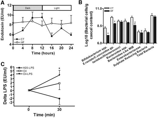 FIG. 1. High-fat feeding increased endotoxemia and changed intestinal microbiota. A: Plasma LPS concentration (EU/ml) was assessed every 4 h throughout the day in normal diet (CT; n = 9) (▪) and 4-week high-fat–fed (HF; n = 9) (○) mice. B: Groups of bacteria in the caecal content of mice fed the normal diet (CT; n = 8) or the high-fat diet (HF; n = 8) for 4 weeks. Bacterial numbers are expressed as log10 (bacterial cells per gram caecal content wet weight). *P < 0.05 vs. CT. C: Delta plasma LPS concentration in (EU/ml) in mice before and 30 min after an oral administration of LPS diluted in corn oil (n = 6) (oil-LPS) or in water (n = 6) (H2O-LPS) or an administration of oil alone (n = 6) (oil). *P < 0.05 vs. H2O-LPS. Data are means ± SE.