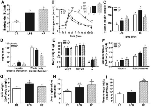FIG. 2. Chronic experimental metabolic endotoxemia induces obesity and diabetes. A: Plasma endotoxin concentration (EU/ml) in WT mice infused with saline (CT; n = 18) or LPS (n = 18) for 4 weeks using subcutaneous osmotic pumps and compared with mice fed a high-fat diet for 4 weeks (HF; n = 18). B: Plasma glucose (mmol/l) following an oral glucose load (3 g/kg) in control (CT; n = 24), LPS (n = 13), or high-fat diet (HF; n = 24) mice. The inset represents the area under curve for each group. *P < 0.05 vs. CT; §LPS vs. CT; #HF vs. LPS. C: Plasma insulin (pmol/l) concentrations 30 min before (−30) and 15 min after (15) an oral glucose load in control (CT; n = 24), LPS (n = 13), or high-fat diet–fed (HF; n = 24) mice. D: Hepatic glucose production and whole-body glucose turnover rates (mg · kg−1 · min−1) in control (CT; n = 5), LPS (n = 5), or high-fat diet–fed (HF; n = 5) mice. E: Body weight (g) before (day 0) and after a 28-day treatment period (day 28) and body weight gain (Δ) in control (CT; n = 26), LPS (n = 21), or high-fat diet–fed (HF; n = 34) mice. F: Visceral and subcutaneous adipose tissue weight (percentage of body weight) in control (CT; n = 26), LPS (n = 21), or high-fat diet–fed (HF; n = 34) mice. G: Liver weight (percentage of body weight) in control (CT; n = 26), LPS (n = 21), or high-fat diet–fed (HF; n = 34) mice. H: Liver triglycerides (μmol/liver) in control (CT; n = 12), LPS (n = 9), or high-fat diet–fed (HF; n = 11) mice. I: Mean energy intake (kcal · day−1 · mouse−1) in control (CT; n = 18), LPS (n = 18), or high-fat diet–fed (HF; n = 18) mice. Data are means ± SE. Data with different superscript letters are significantly different at P < 0.05, according to the post hoc ANOVA statistical analysis.