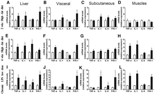 FIG. 3. Metabolic endotoxemia triggers the expression of inflammatory factors similarly to high-fat feeding. TNF-α, IL-1, IL-6, and PAI-1 mRNA concentrations (A, E, and I) in liver (B, F, and J), visceral adipose tissue (C, G, and K), subcutaneous adipose tissue (D, H, and L), and muscle in normal diet–fed (n = 8) (□) or high-fat diet–fed (n = 8) (▪) mice for 2 weeks (A–D) and 4 weeks (n = 8) (E–H) and in LPS-infused mice (n = 5) (I–L). Data are means ± SE. *P < 0.05 vs. normal chow–fed mice.