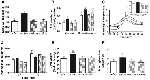 FIG. 5. The CD14 null mutation prevents the effect of LPS-induced obesity and diabetes. A: Body weight gain (g) in WT mice infused with saline (WT-CT; n = 13) or LPS (WT-LPS; n = 14) and CD14 mutant mice infused with saline (CD14-CT; n = 13) or LPS (CD14-LPS; n = 12) for 4 weeks using subcutaneous osmotic pumps. B: Visceral and subcutaneous adipose tissue weight (percentage of body weight) in WT-CT (n = 13) (□), WT-LPS (n = 14) (▪), CD14-CT (n = 13) (▒), and CD14-LPS (n = 12) () mice. C: Plasma glucose concentration (mmol/l) following an intraperitoneal glucose load (1 g/kg) in WT-CT (n = 6) (▪), WT-LPS (n = 6) (▴), CD14-CT (n = 5) (□), and CD14-LPS (n = 6) (•) mice. The inset represents the area under curve of the same groups. D: Plasma insulin (pmol/l) concentration 30 min before (−30) and 30 min after (30) intraperitoneal glucose administration in WT-CT (n = 6) (□), WT-LPS (n = 6) (▪), CD14-CT (n = 5) (), and CD14-LPS (n = 6) (▒) mice. E: Liver weight (percentage of body weight) in WT-CT (n = 13), WT-LPS (n = 13), CD14-CT (n = 12), and CD14-LPS (n = 13) mice. F: Liver triglycerides (μmol/liver) in WT-CT (n = 12), WT-LPS (n = 9), CD14-CT (n = 5), and CD14-LPS (n = 6) mice. Data are means ± SE. Data with different superscript letters are significantly different at P < 0.05, according to the post hoc ANOVA statistical analysis.