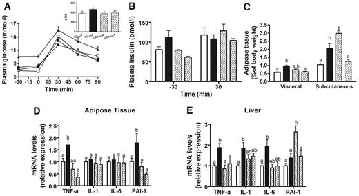 FIG. 7. CD14 mutant mice resist high-fat diet–induced glucose intolerance, inflammation, and increased visceral fat mass. A: Plasma glucose (mmol/l) following an intraperitoneal glucose load (1 g/kg) in WT mice fed a normal diet (WT-CT; n = 6) (▪) or a high-fat diet (WT-HF; n = 6) (▴) for 4 weeks and CD14 mutant mice fed a normal diet (CD14-CT; n = 5) (•) or fed a high-fat diet (CD14-HF; n = 5) (□). The inset represents the area under curve of the same groups. B: Plasma insulin concentration (pmol/l) 30 min before (−30) and 30 min after (30) intraperitoneal glucose administration in WT-CT (n = 6) (□), WT-HF (n = 6) (▪), CD14-CT (n = 5) ( ▒), and CD14-HF (n = 5) () mice. C: Visceral and subcutaneous adipose tissue weight (percent of body weight) in WT-CT (n = 6) (□), WT-HF (n = 6) (▪), CD14-CT (n = 5) (▒), and CD14-HF (n = 5) () mice. Adipose tissue (D) and liver (E) mRNA concentrations of TNF-α, IL-1, IL-6, and PAI-1 in WT-CT (n = 6) (□), WT-HF (n = 6) (▪), CD14-CT (n = 5) (▒), and CD14-HF (n = 5) () mice. Data are means ± SE. Data with different superscript letters are significantly different at P < 0.05, according to the post hoc ANOVA statistical analysis.