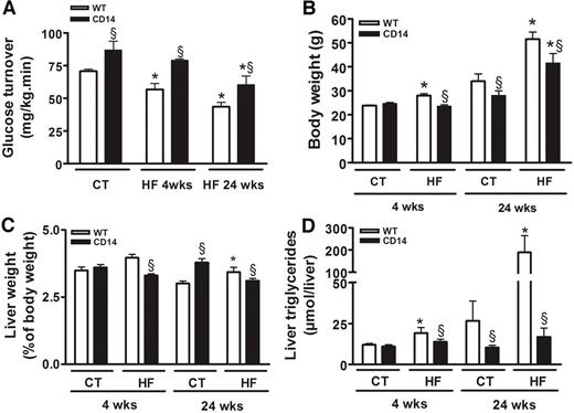 FIG. 6. CD14: the main LPS receptor sets the tone of insulin sensitivity and hepatic steatosis. A: Glucose turnover (mg · kg−1 · min−1) in WT mice or CD14 mutant fed a normal diet (CT) or fed a high-fat diet (HF) for 4 (n = 8) or 24 (n = 8) weeks (wks). B: Body weight gain (g) in WT or CD14 mutant fed a normal diet (CT) for 4 (n = 8) or 24 (n = 8) weeks or fed a high-fat diet (HF) for 4 (n = 8) or 24 (n = 8) weeks. C: Liver weight (percent of body weight) in WT or CD14 mutant mice fed a normal diet (CT) for 4 (n = 8) or 24 (n = 8) weeks or fed a high-fat diet (HF) for 4 (n = 8) or 24 (n = 8) weeks. D: Liver triglycerides (μmol/liver) in WT or CD14 mutant mice fed a normal diet (CT) for 4 (n = 6) or 24 (n = 5) weeks or fed a high-fat diet (HF) for 4 (n = 5) or 24 (n = 5) weeks. Data are means ± SE. *P < 0.05 vs. CT; §P < 0.05 vs. WT. E: Representative oil red O liver staining in 4-week–treated mice. F (see next page): Plasma glucose following an intraperitoneal glucose load (1 g/kg) in WT mice fed a normal diet (WT-CT; n = 8) or a high-fat diet (WT-HF; n = 8) for 24 weeks and CD14 mutant mice fed a normal diet (CD14-CT; n = 8) or fed a high-fat diet (CD14-HF; n = 8). The inset represents the area under curve of the same groups. G (see next page): Fasting plasma insulin (pmol/l) in WT or CD14 mutant mice fed a normal diet (CT) for 4 (n = 6) or 24 (n = 5) weeks or fed a high-fat diet (HF) for 4 (n = 5) or 24 (n = 5) weeks. Data are means ± SE. *P < 0.05 vs. CT; §P < 0.05 vs. WT. Data with different superscript letters are significantly different at P < 0.05, according to the post hoc ANOVA statistical analysis.