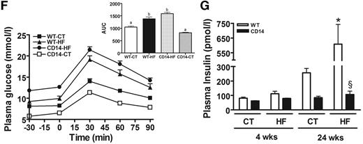FIG. 6. CD14: the main LPS receptor sets the tone of insulin sensitivity and hepatic steatosis. A: Glucose turnover (mg · kg−1 · min−1) in WT mice or CD14 mutant fed a normal diet (CT) or fed a high-fat diet (HF) for 4 (n = 8) or 24 (n = 8) weeks (wks). B: Body weight gain (g) in WT or CD14 mutant fed a normal diet (CT) for 4 (n = 8) or 24 (n = 8) weeks or fed a high-fat diet (HF) for 4 (n = 8) or 24 (n = 8) weeks. C: Liver weight (percent of body weight) in WT or CD14 mutant mice fed a normal diet (CT) for 4 (n = 8) or 24 (n = 8) weeks or fed a high-fat diet (HF) for 4 (n = 8) or 24 (n = 8) weeks. D: Liver triglycerides (μmol/liver) in WT or CD14 mutant mice fed a normal diet (CT) for 4 (n = 6) or 24 (n = 5) weeks or fed a high-fat diet (HF) for 4 (n = 5) or 24 (n = 5) weeks. Data are means ± SE. *P < 0.05 vs. CT; §P < 0.05 vs. WT. E: Representative oil red O liver staining in 4-week–treated mice. F (see next page): Plasma glucose following an intraperitoneal glucose load (1 g/kg) in WT mice fed a normal diet (WT-CT; n = 8) or a high-fat diet (WT-HF; n = 8) for 24 weeks and CD14 mutant mice fed a normal diet (CD14-CT; n = 8) or fed a high-fat diet (CD14-HF; n = 8). The inset represents the area under curve of the same groups. G (see next page): Fasting plasma insulin (pmol/l) in WT or CD14 mutant mice fed a normal diet (CT) for 4 (n = 6) or 24 (n = 5) weeks or fed a high-fat diet (HF) for 4 (n = 5) or 24 (n = 5) weeks. Data are means ± SE. *P < 0.05 vs. CT; §P < 0.05 vs. WT. Data with different superscript letters are significantly different at P < 0.05, according to the post hoc ANOVA statistical analysis.