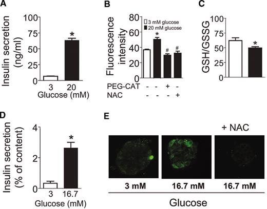 FIG. 1. Glucose-induced intracellular H2O2 accumulation coincides with GSIS. GSIS (A) and H2O2 (B) accumulation in INS-1(832/13) cells after PEG-CAT (5,000 units/ml) or NAC (0.4 mmol/l) for 1 h before glucose. C: Effect of glucose on GSH-to-GSSG ratio. D: GSIS in islets. E: Representative confocal images of H2O2 fluorescence in islets. NAC (0.4 mmol/l) treatment was 1 h before probe loading. Values are means ± SE; n = 3–13. *P < 0.05 vs. 3 mmol/l glucose; #P < 0.05 vs. 20 mmol/l glucose alone.
