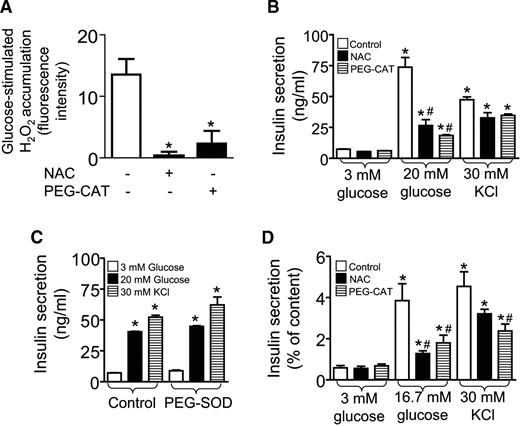 FIG. 3. Exogenous scavengers of H2O2 inhibit GSIS. A: INS-1(832/13) cells were pretreated with NAC (0.4 mmol/l) or PEG-CAT (5,000 units/ml) (1 h) followed by glucose (30 min). H2O2 accumulation is shown as fluorescence intensity in 20 mmol/l glucose (n = 3–7) minus mean fluorescence intensity in 3 mmol/l glucose (n = 3–7). *P < 0.05 vs. untreated. B: Cells pretreated with NAC (0.4 mmol/l) or PEG-CAT (5,000 units/ml) (1 h) followed by secretagogues with or without scavengers (30 min); n = 4–6. C: Effect of cell-permeable SOD (PEG-SOD; 30 units/ml) by the same protocol as in B; n = 4. D: Mouse islets treated with NAC or PEG-CAT as in B; n = 4–6. *P < 0.05 vs. 3 mmol/l glucose with same pretreatments; #P < 0.05 vs. control stimulated with 20 mmol/l glucose.