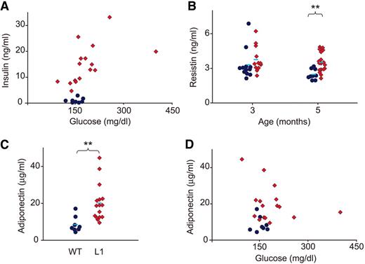 FIG. 1. Metabolic profile. A: Scatter plot of insulin versus glucose values in 3-month-old L1 and wild-type male littermates. B: Resistin values in 3- and 5-month-old mice. C: Adiponectin values in 3-month-old mice. D: Scatter plot of adiponectin versus glucose values in 3-month-old mice. **P < 0.001 by two-tailed Student's t test. Blue circles, wild type; red diamonds, L1; light blue line, mean of each group.