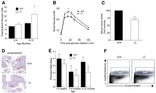 FIG. 4. RIPcre+Casp8fl/fl mice exhibit defects in glucose homeostasis and islet mass. A: At 5–12 months of age, RIPcre+Casp8fl/fl (−/−) mice displayed significantly increased fasting blood glucose levels compared with RIPcre+Casp8+/+ (+/+) mice (n = 13–20 mice per genotype, *P = 0.03). B: At 7–12 months, RIPcre+Casp8fl/fl mice exhibit increased glucose excursion after intraperitoneal GTTs compared with RIPcre+Casp8+/+ mice (n = 13–22 mice/group, P = 0.04). C: Fasting serum insulin levels are lower in RIPcre+Casp8fl/fl mice compared with RIPcre+Casp8+/+ mice >6 months of age (n = 7–10 mice/group, *P < 0.01). D: Representative pancreatic sections stained for synaptophysin at 12 months of age (magnification ×4). E: Quantification of the percent insulin-stained versus total pancreas area (for 1- to 2-week-old mice, n = 4 mice/genotype; for 2- to 4-month-old mice, n = 5–7 mice/genotype; for 5- to 12-month-old mice, n = 5–6 mice/genotype, *P < 0.01). F: FACS analysis of RIPcre+Casp8+/+ and RIPcre+Casp8fl/f islets. The autofluorescent population representing the β-cells is gated. Error bars indicate SE. (Please see http://dx.doi.org/10.2337/db06-1771 for a high-quality digital representation of this figure.)