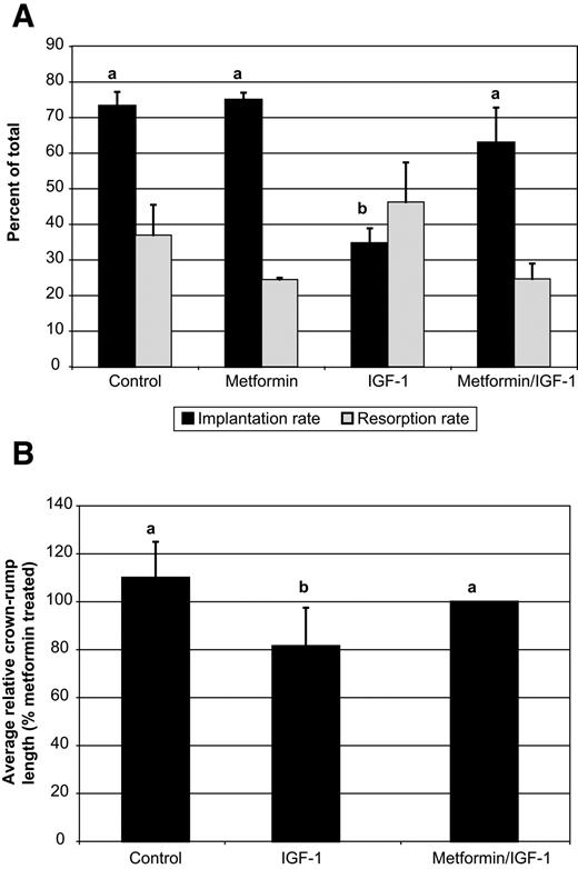 FIG. 5. Metformin reverses IGF-I effect on pregnancy outcome and crown-rump length. A: Embryos were cultured as described for Fig. 2 and then transferred into control mice. Values with different letters were significantly different. Control embryos (n = 8 experiments) had significantly higher implantation rates compared with embryos cultured in 200 nmol/l IGF-I and transferred (n = 8 experiments; P < 0.003). Metformin plus IGF-I (n = 8 experiments) reversed the adverse effect of IGF-I (P < 0.05). B: Crown-rump length at E14.5 was measured in embryos from the control group (n = 71 fetuses), the IGF-I group (n = 53), and the IGF-I plus metformin group (n = 61). Values with different letters were significantly different (P < 0.05).