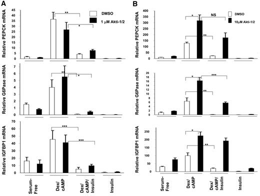FIG. 4. HL1c cells were serum starved overnight and then incubated with or without dexamethasone (Dex)/cAMP ([500 nmol/l dexamethasone and 0.1 mmol/l 8CPT-cAMP] ± 10 nmol/l insulin) in the presence (▪) or absence (□) of 1 μmol/l (A) or 10 μmol/l (B) Akti-1/2 for 3 h. RNA was extracted and PEPCK, G6Pase, or IGFBP1 gene expression measured as detailed in research design and methods. Data are presented as gene expression relative to cyclophilin expression in the same cells and are means ± SEM from at least three experiments performed in duplicate. *P < 0.05; **P < 0.05; ***P < 0.001. NS, not significant (Student's unpaired t test).