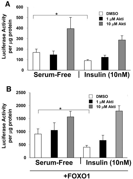 FIG. 6. HL1c cells were transfected with the insulin-sensitive reporter BP1-TIRE plus control expression plasmid pEGB-empty (A) or GST-FOXO1 expression plasmid pEBG-FOXO1 (B). Cells were then incubated with or without insulin in the presence or absence of 1 or 10 μmol/l Akti-1/2, as indicated, for 20 h. Cells were lysed and luciferase activity measured. *P < 0.05 (Student's t test).