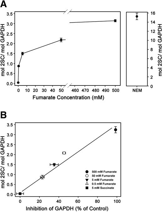 FIG. 3. Kinetics of formation of 2SC during incubation of GAPDH with fumarate. A: GAPDH (1 mg/ml) was incubated with various concentrations of fumarate (0.5, 5, 50, and 500 mmol/l) in 50 mmol/l PBS (pH 7.4, 37°C, 24 h), then dialyzed and hydrolyzed in 6 mol/l HCl for quantification of 2SC by amino acid analysis. B: Levels of 2SC (Fig. 2A) correlate with the percent inhibition of GAPDH (Fig. 1A). Data are means ± SD from three independent experiments (r2 = 0.78, P < 0.01).