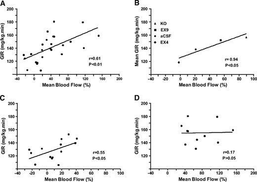 FIG. 5. Correlations between femoral arterial blood flow and whole-body glucose utilization rates under hyperglycemic conditions. The maximal blood flow rates (%) calculated during the hyperinsulinemic-hyperglycemic clamp were plotted in A against the glucose infusion rate (GIR, mg · kg−1 · min−1) for individual mice (n = 25). In B, the mean values are represented for mice infused into the brain with Ex4 (♦), aCSF (•), or Ex9 (▪) or in GLP-1 receptor knockout mice (KO, ▴). In C, individual data are presented for mice with active brain GLP-1R signaling (wild-type aCSF or Ex4-infused mice, n = 14). In D, individual data are presented for mice where brain GLP-1 receptor signaling was blocked by Ex9 or in GLP-1R knockout mice (KO) (n = 11). The Pearson r value was calculated and a positive correlation was statistically significant when P < 0.05.