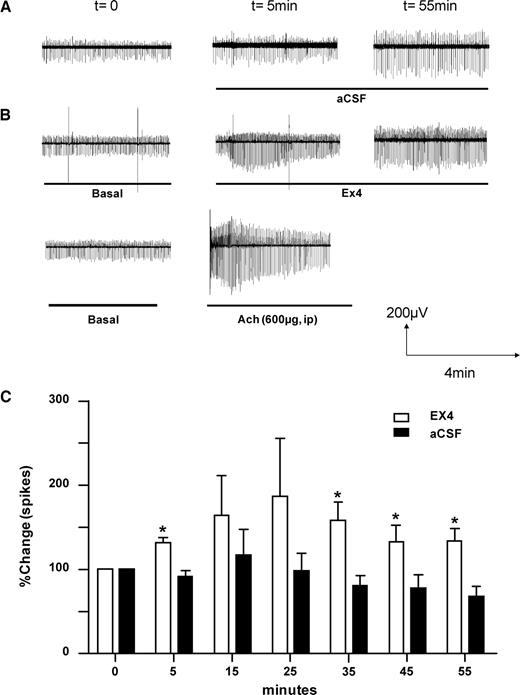 FIG. 8. Brain Ex4 infusion rapidly increases vagus nerve activity. A: Firing rate activity of the vagus nerve in microvolt/time shown before (t = 0) and 5 (t = 5) and 55 (t = 55) min after the beginning of the intracerebroventricular (icv) aCSF (A) or Ex4 (B) infusions. At completion of the experiment, an intraperitoneal flash injection of acetylcholine chloride was performed as a positive control and compared with the basal value. In C, the firing rate activity was quantified by assessing the number of spikes per minute and represented in percent of change versus T0 in aCSF and Ex4-infused mice. *Significantly different from aCSF-infused mice when P < 0.05.