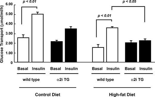 FIG. 3. Effect of lack of AMPK α2 activity and high-fat diet on insulin-stimulated glucose transport. Thirty weeks after the dietary treatments, the mice were fasted overnight. Isolated soleus muscles were incubated in KRB buffer with or without submaximal doses of insulin (450 μU/ml) for 30 min. Muscle lysates were used for the measurement of glucose transport. Data are represented as means ± SE. n = 5–6 for all groups.