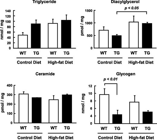 FIG. 5. Effect of lack of AMPK α2 activity and high-fat diet on muscle lipid and glycogen content. Thirty weeks after the dietary treatments, the mice were fasted overnight. Triglyceride, diacylglycerol, ceramide, and glycogen content were analyzed in extracts from tibialis anterior muscles. Data are represented as means ± SE. n = 5–6 for all groups.