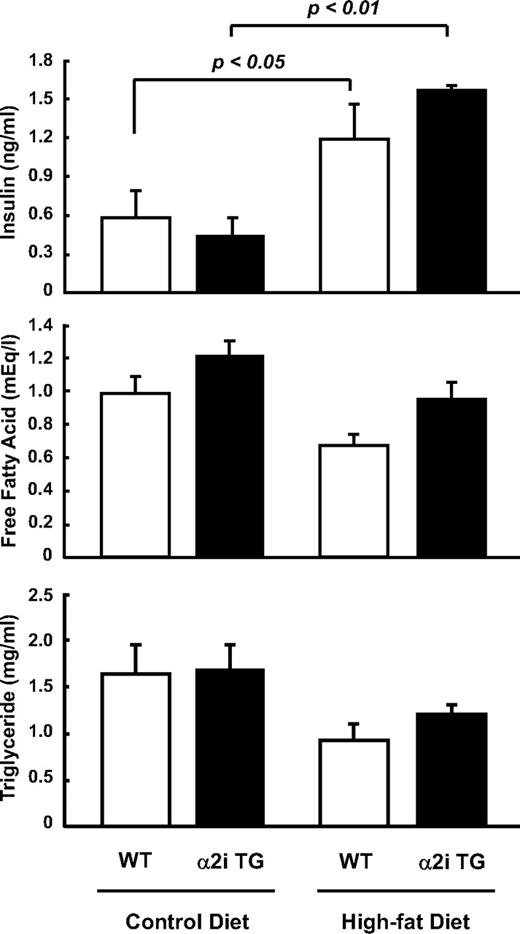 FIG. 6. Effect of lack of AMPK α2 activity and high-fat diet on serum metabolic parameters. Thirty weeks after the dietary treatments, the mice were fasted overnight. Serum insulin, free fatty acids, and triglycerides were measured. Data are represented as means ± SE. n = 5–6 for all groups.