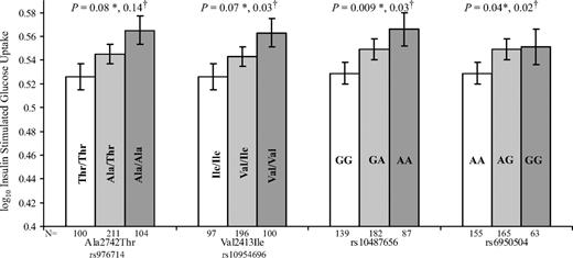 FIG. 1. Mean insulin sensitivity by genotype among nondiabetic Pima Indians. Insulin-stimulated glucose uptake (mg · kg EMBS−1 · min−1) was measured by a hyperinsulinemic-euglycemic clamp with insulin infusion at physiologic concentrations. P values are given for a recessive model for both a general association* and a within family association† and are adjusted for age, sex, percent body fat, and family membership. EMBS, estimated metabolic body size.