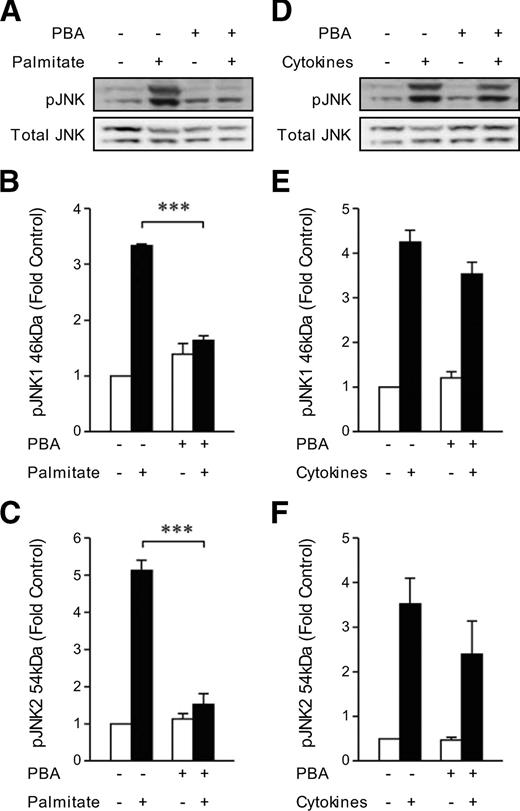 FIG. 5. PBA treatment reduces JNK phosphorylation in response to palmitate but not in response to cytokines. INS-1 cells were pretreated in the absence or presence of PBA (2.5 mmol/l) for 24 h and then cultured for 6 h in combination with the absence or presence of 0.4 mmol/l palmitate coupled to 0.92% BSA (A–C) or IL-1β (50 units/ml) and IFN-γ (100 units/ml) (D–F). A and D: Western blot analysis comparing changes in JNK phosphorylation (p). Total JNK protein served as loading control. pJNK1 (46 kDa) (B and E) and pJNK2 (54 kDa) (C and F) bands were quantified by densitometry and are expressed as fold change compared with control. Results are means ± SEM determined from three experiments. ***P < 0.001 for PBA + palmitate-treated versus control palmitate-treated INS-1 cells.