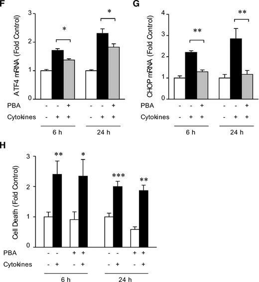 FIG. 1. The chemical chaperone PBA reduces cytokine activation of genes involved in ER stress in INS-1 cells but does not protect against cytokine-induced cell death. INS-1 cells grown in RPMI-1640 were pretreated in the absence or presence of PBA (2.5 mmol/l) for 24 h and then cultured in combination with IL-1β (50 units/ml) and IFN-γ (100 units/ml) for 6 or 24 h as indicated. A: Western blot analysis comparing changes in PERK and EIF2α phosphorylation (p) and expression of ATF4 and CHOP. Total EIF2α and β-actin protein served as loading controls. pPERK (B), pEIF2α (C), ATF4 (D), and CHOP (E) bands were quantified by densitometry and are expressed as fold change compared with control. Results are means ± SEM determined from three to four experiments. *P < 0.05, **P < 0.01 for PBA + cytokine-treated versus control cytokine-treated INS-1 cells at the same time point. ATF4 (F) and CHOP (G) mRNA levels. Total RNA was extracted and analyzed by real-time RT-PCR. Results are means ± SEM determined from three experiments performed in triplicate or quadruplicate and are expressed as fold-change of mRNA levels in control INS-1 cells. *P < 0.05, **P < 0.01 for PBA + cytokine-treated versus control cytokine-treated INS-1 cells at the same time point. H: Cell death was measured using a cell death detection ELISA. Results are means ± SEM determined from three experiments performed in triplicate and are expressed as fold change compared with control untreated INS-1 cells at each time point. *P < 0.05, **P < 0.01, ***P < 0.001 versus control untreated INS-1 cells at the same time point.
