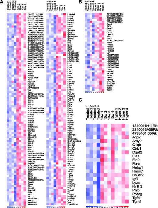 FIG. 6. Transcriptome analysis of reemerging B-cells. We extracted B-cells (using CD19 magnetic beads) from 10-week-old NOD mice, from hyperglycemic NOD mice, and from the reemerging B-cell pool from age-matched B-cell–depleted NOD mice in which the B-cell repertoire is recovered. A gene array analysis was performed to evaluate gene expression of >40,000 genes. Genes that are differentially expressed in naïve B-cells extracted from normoglycemic 10-week-old or hyperglycemic NOD mice and reemerging B-cells are shown in the heat map (A–C). Blue represents lesser expression and red higher expression. Two hundred genes are downregulated in the reemerging B-cells compared with naïve B-cells from 10-week-old NOD mice (A). Thirty-eight genes are downregulated in the reemerging B-cells compared with naïve B-cells from hyperglycemic NOD mice (B). Twenty-one genes are downregulated similarly in the reemerging B-cells compared with naïve B-cells from 10-week-old and hyperglycemic NOD mice (C).