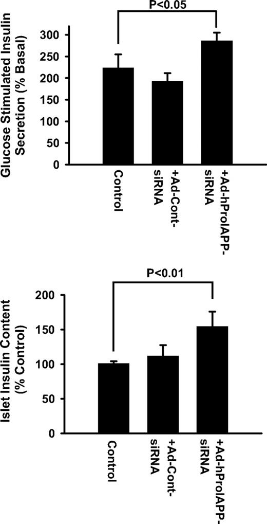 FIG. 7. siRNA-mediated inhibition of proIAPP synthesis enhances β-cell function in cultured human islets. GSIS was assessed in nontransduced and Ad-hProIAPP-siRNA (or Ad-Cont-siRNA) transduced human islets (MOI 20) after 10-day culture in CMRL (11.1 mmol/l glucose). Islets were incubated with KRBB (1.67 mmol/l glucose) for 1 h followed by 1-h incubation in the same condition (basal release) or with KRBB containing 16.7 mmol/l glucose (stimulated insulin release). Insulin secretion (A) and islet insulin content (B) were measured by an enzyme-linked immunosorbent assay that measures mature insulin. Transduced human islets had higher insulin content and enhanced glucose response compared with nontransduced cultured islets. Results are expressed as means ± SE of three independent experiments (P < 0.01, one-way ANOVA).