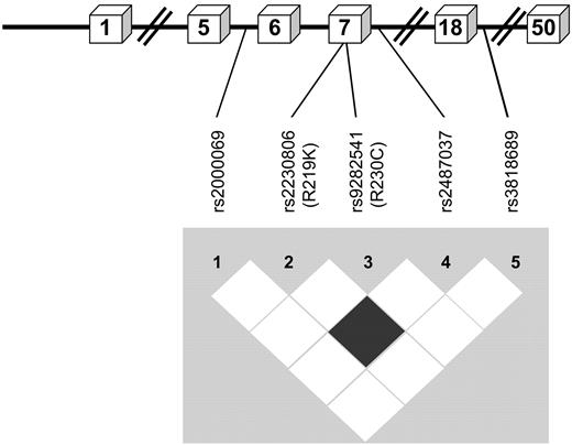 FIG. 1. Pairwise LD among five SNPs within the ABCA1 gene. Drawing is not to scale. Exons are represented by boxes. Figure depicts the measured r2 between SNP pairs, represented by box shade intensity. There is no evidence for LD between the R230C variant and the other four SNPs. However, SNPs rs2230806 (R219K) and r2487037 were in high LD (r2 >0.8).