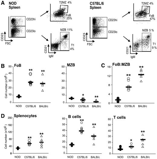 FIG. 1. NOD mice have an expanded number of MZBs. A: Representative FACS plots illustrating gating strategy to enumerate splenic B-cell subsets in 5-week-old female NOD and C57BL/6 mice. Numbers represent percentage of total lymphocytes. T1, transitional T1 cell; T2MZ, transitional T2MZ cell. Results from one of at least six independent experiments are shown. B: Absolute numbers of FoBs and MZBs. Results represent values from individual mice (n ≥ 5 per group), bar represents median value. C: Ratio of FoBs to MZBs in 5-week-old female NOD, C57BL/6, and BALB/c mice, calculated from absolute numbers presented in (B). Results represent values from individual mice (n ≥ 5 per group), bar represents median value. D: Absolute numbers of splenocytes, B-cells, and T-cells in 5-week-old female NOD, C57BL/6, and BALB/c mice. Results represent values from individual mice (n ≥ 5 per group), bar represents median value. All results are from 5-week-old female mice. •, NOD mice; ○, C57BL/6; and ▵, BALB/c mice. P values represent comparison between NOD and age-matched control strain. *P < 0.05; **P < 0.01; ***P < 0.001.