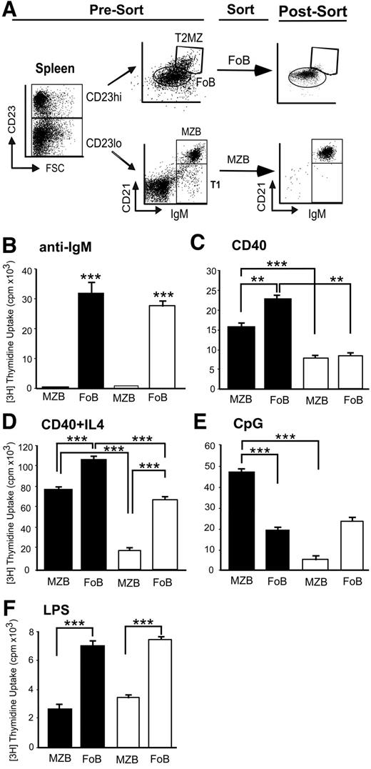 FIG. 4. NOD MZBs are selectively hyperresponsive to TLR9 ligation and CD40 ligation. A: Representative FACS plot demonstrating sorting protocol to achieve pure MZB and FoB populations. B–F: Proliferative responses (cpm) of purified MZBs or FoBs stimulated with anti-mμ (20 μg/ml) (B), CD40 (1 μg/ml) (C), CD40 (1 μg/ml) plus interleukin-4 (100 ng/ml) (D), CpG dinucleotide (3 μg/ml) (E), or LPS (500 ng/ml)-stimulated B-cells (F). Background proliferation was 500 cpm. Data represents mean (cpm) ± SE of triplicate samples from one of six independent experiments conducted. *P < 0.05; **P < 0.01; ***P < 0.001.